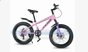 Swing Kids Bike Size 20 – Fat Wheel Bicycle for Boys Girls