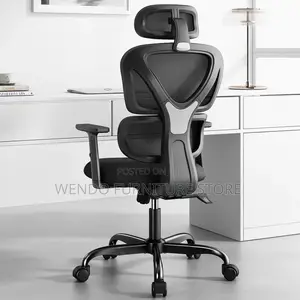 Office Chairs; Executive High Back Mesh Fabric Orthopedic Chairs
