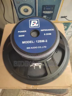 Bm Audio 12bm-2 12" 300w Professional Midrange/Woofer Naked Speaker
