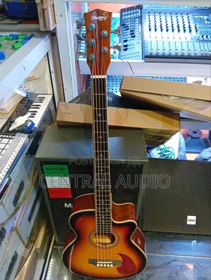 5string Semi Acoustic Bass Guitar