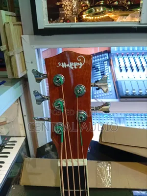5string Semi Acoustic Bass Guitar