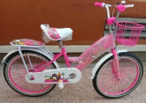 Kids Bicycle/ Girls Bicycle