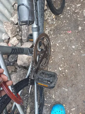 Race Bike Size 20