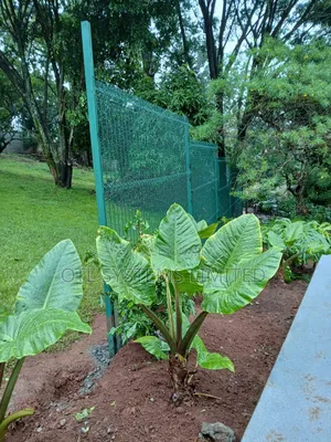 Clear Anti Climb Fence Installation Services