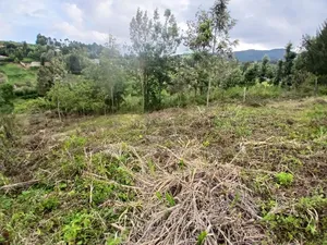 Prime Quarter Acre Plot in Upper Matasia 1.2kms Off Tarmac