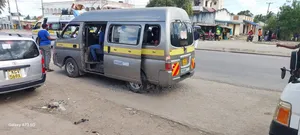 Nissan Caravan (Urvan) 2010 Silver