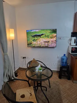 Modern, Clean And Affordable Studio Bnb In Nairobi Roysambu Trm Drive