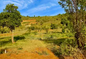 50*100 Land On Tarmac, Kikuyu, Kamangu (Ngumbuini)
