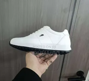 Original Lacoste Boxed