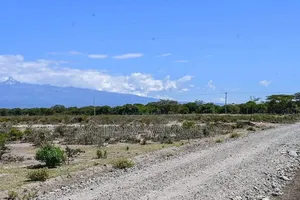 Nanyuki 1/8ac Prime Plots 1.4km From Rumuruti Rd(To Be Tarmacked)