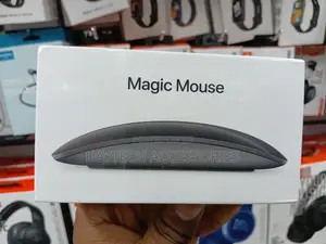 This Is an Apple Magic Mouse 2 in Space Gray
