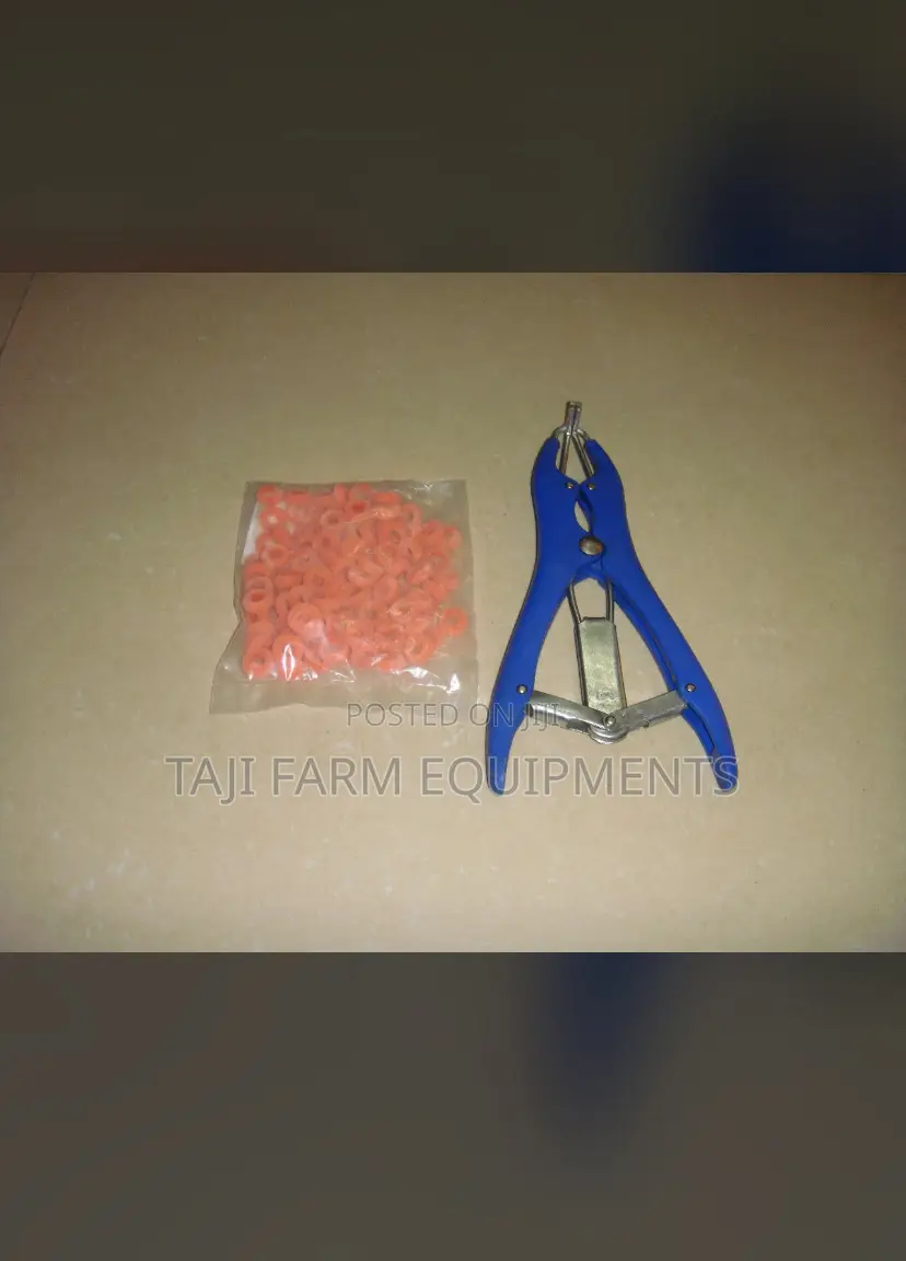 Rubber Rings For Elastrator
