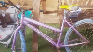 Bike Raleigh Bicycle