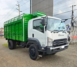 Isyzu FTR 2021 White