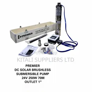 Premier 3-Inch Dc Solar Brushless Submersible Screw Pump Kit