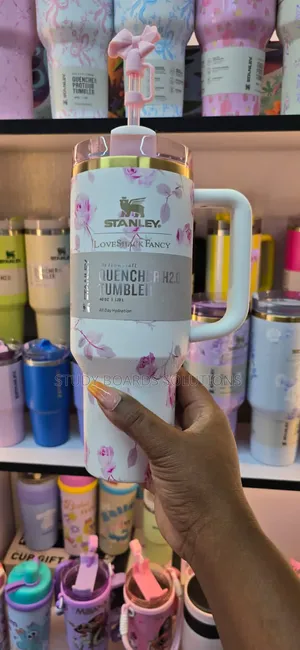 Ideal Gift//Boxed Stanley Mug