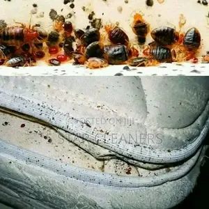 Nema Licensed Fumigation Services