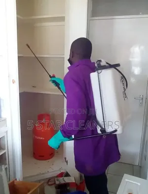 Bees and Roaches Fumigation Services