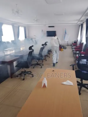 No Smell Bedbugs Fumigation Services- Smoke Fumigation