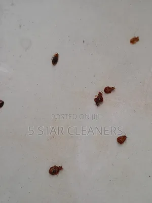 Kenya Fumigation Services