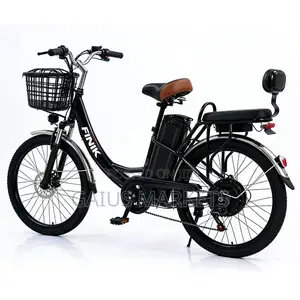 Lipa Na Hire Purchase Compact E-Bike