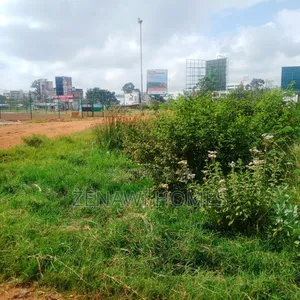 Jujafarm New Plots