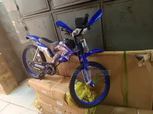 Premier Racing Bike Size 20 