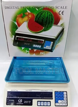 Acs30kg Weighing Scale/30kg Digital Computing Scale
