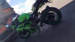 Kawasaki Ninja 300 2016 Green