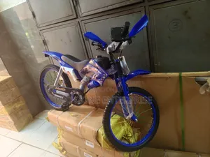 Premier Racing Bike Size 20 With Accessories 