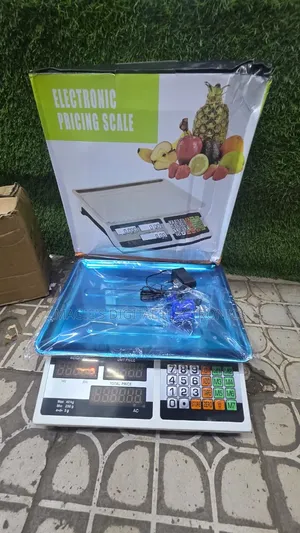 Well Performing Electronic Pricing Scale