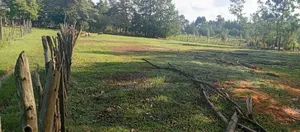 3 Plots for Sale in Ngeria Mugundoi Eldoret