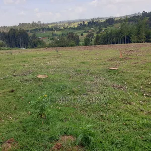 Prime 2.5 Acres Land for Sale in Ngano, Nyandarua.
