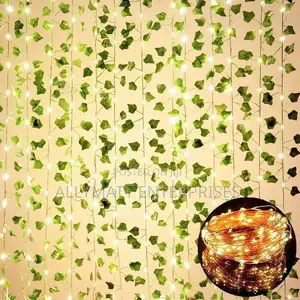 Vines With Light