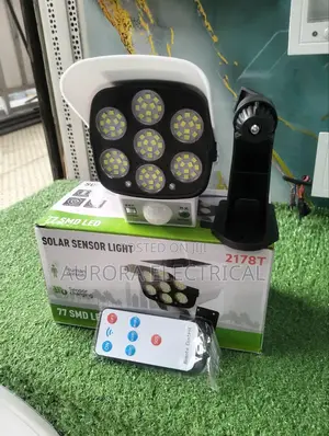 Solar Motion Sensor Light