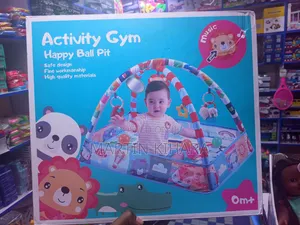 Activity Gym And Ball Pit