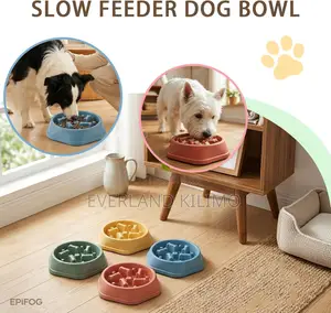 Anti-Choking Slow Eating Feed Dog Bowl