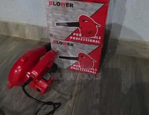 Blower/Professional Blower
