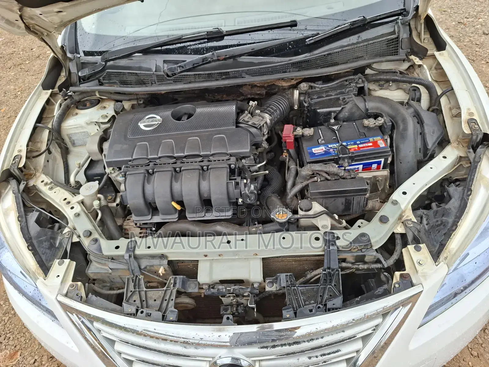 Nissan Sylphy 2013 White