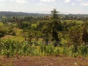 For Sale Boiman Nyahururu 4.6 Acres Agricultural Land