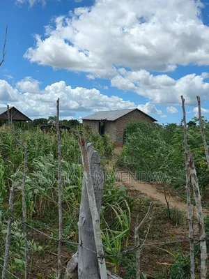 50*100 Land For Sale In Kakoneni , Malindi