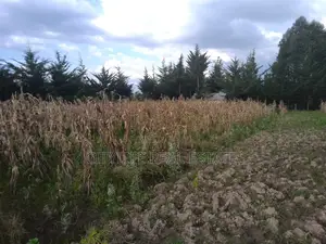 Kipipiri,Aberdare ,Migaa, One Acre Arable Flat Land.