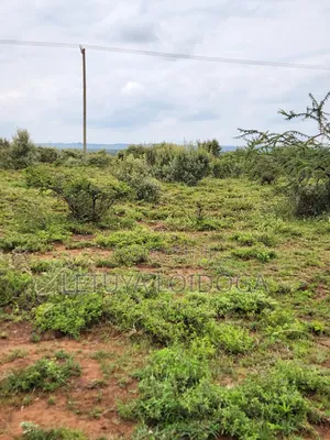 Prime Affordable 1⁄8 Acre Plots Ngong-Kimuka
