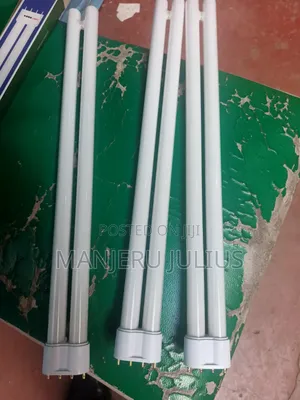 36watts Pl Bulb