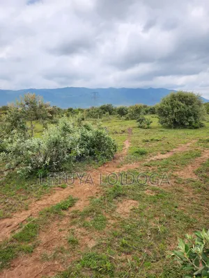 20 Acres Ngong-Kimuka