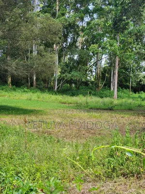 Prime 3 Acres Ngong-Kahara