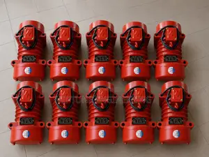 Three Phase Vibration Motor