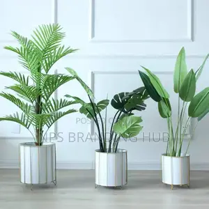 3pcs Flower Pot Tet