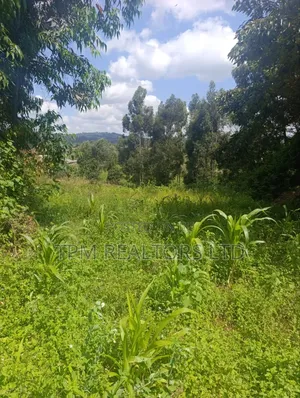One Acre in Kikuyu