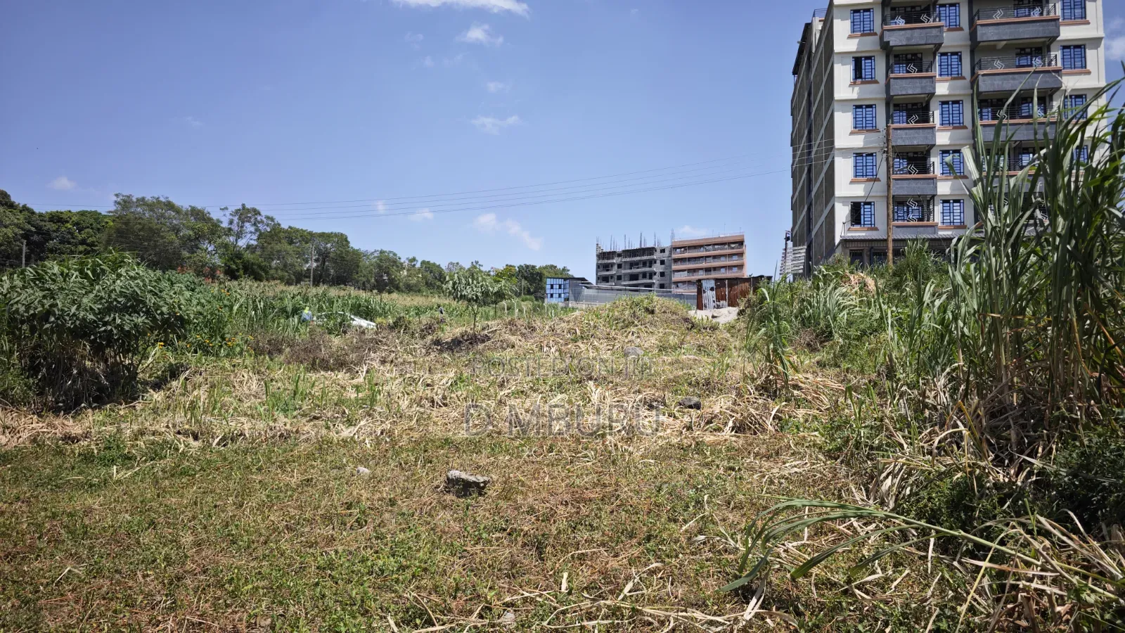 Thika Town Commercial Plot